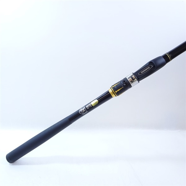 ２１アオリスタ５００